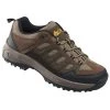 Denali Birch Men's Hiking Boots